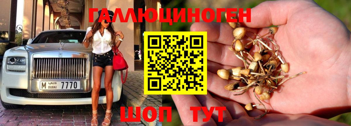 Галлюциногенные грибы прущие грибы  Вход с VPN  Ижевск 