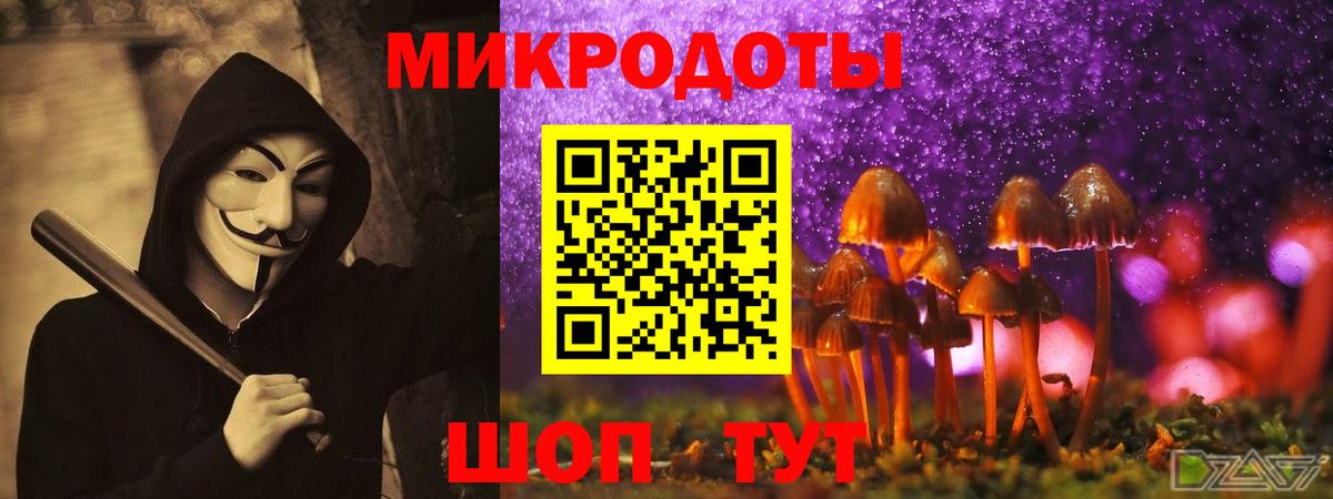 Псилоцибиновые грибы Psilocybine cubensis Ижевск